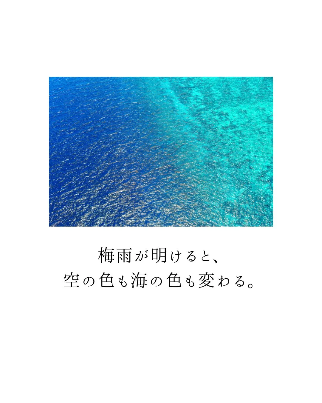 沖縄が1年で最も輝く季節✨