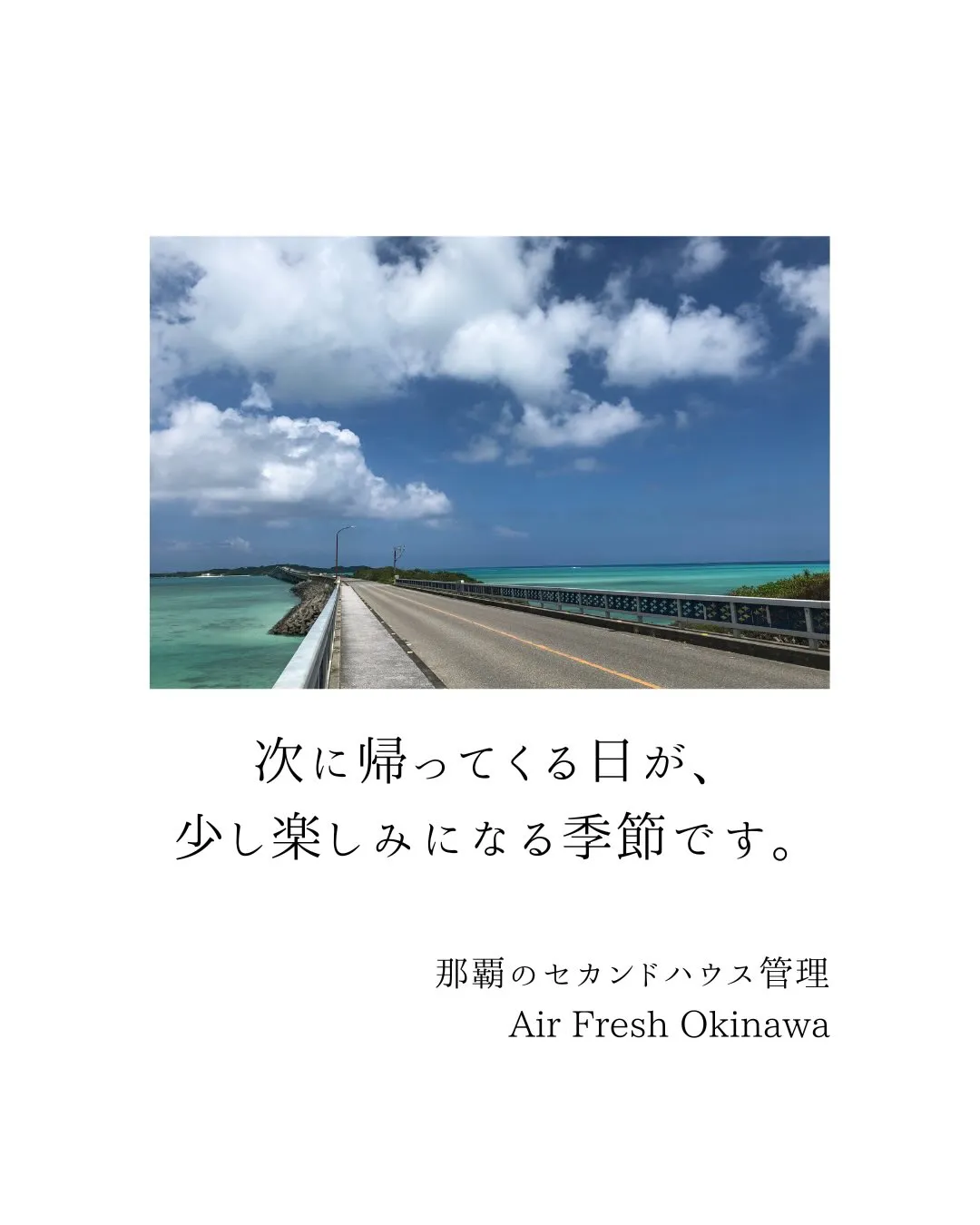 沖縄が1年で最も輝く季節✨