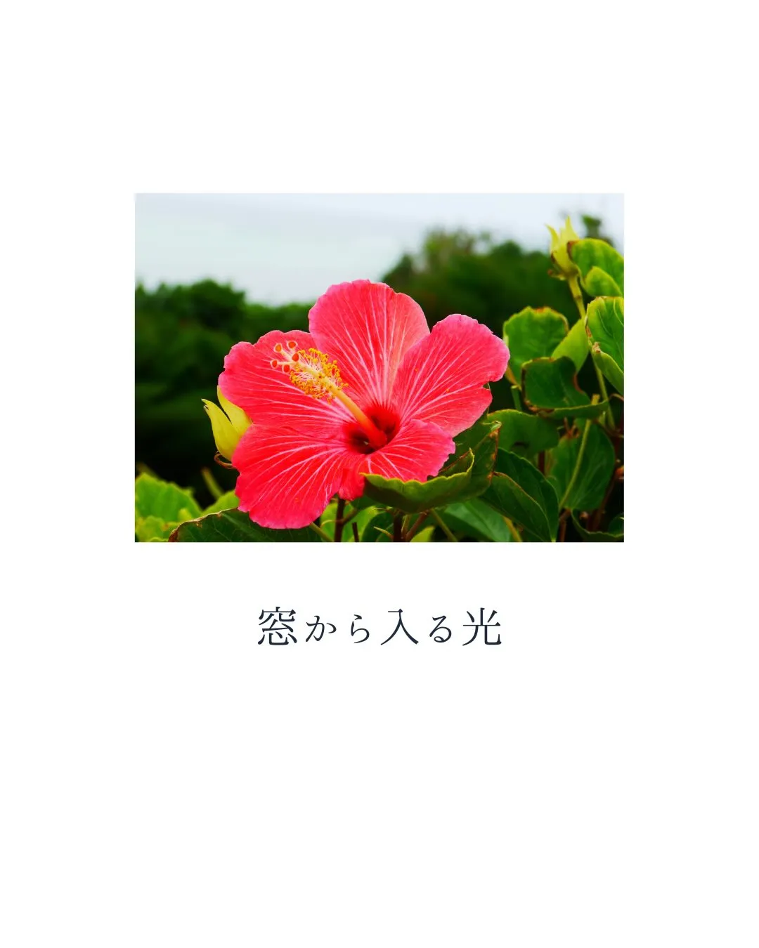 沖縄の魅力は景色だけではありません