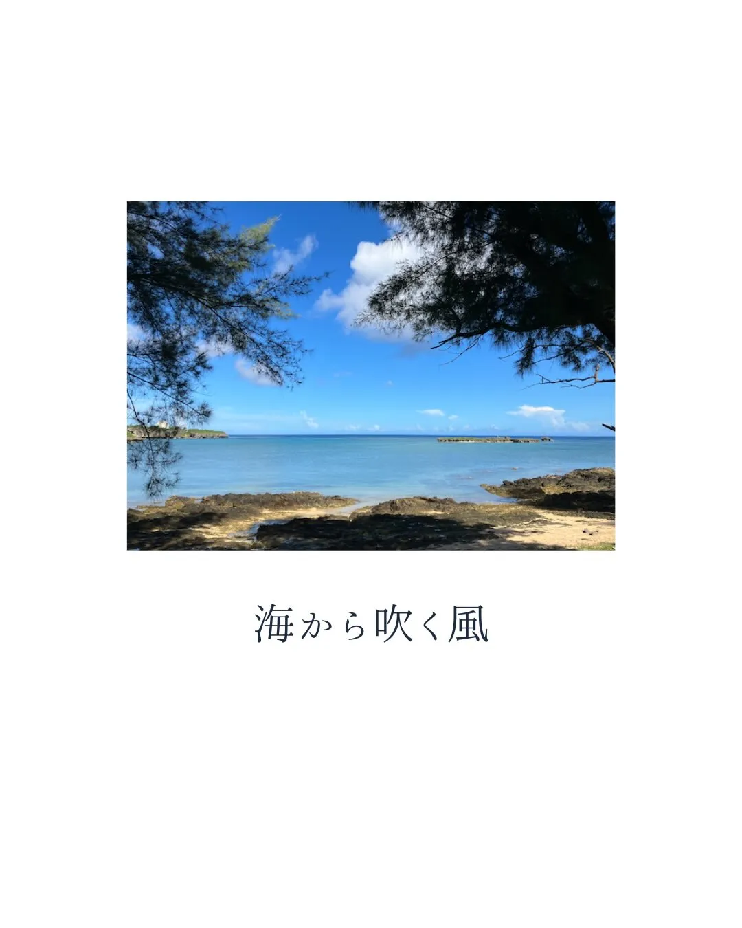 沖縄の魅力は景色だけではありません