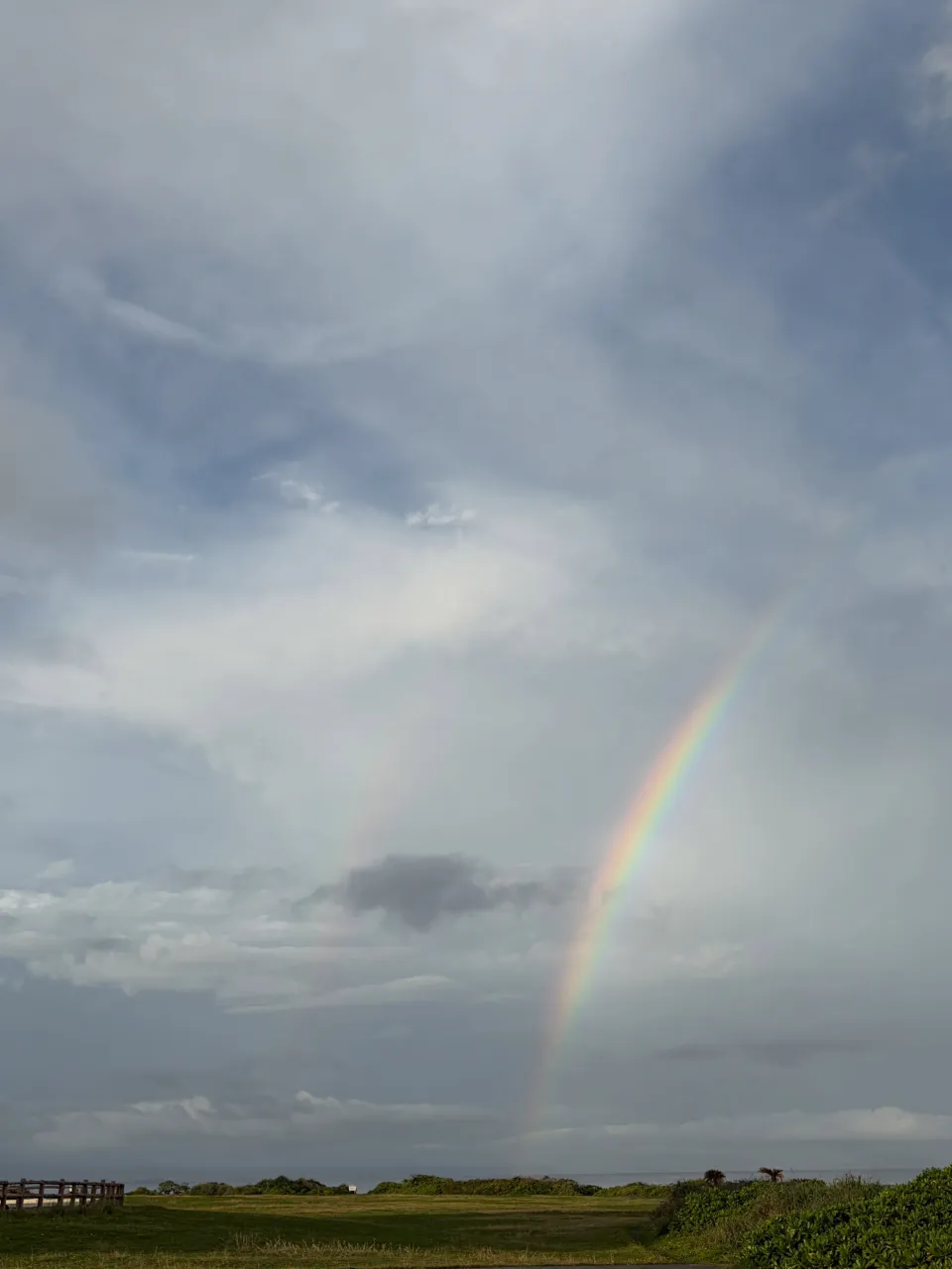 虹は、内側と色の並びが逆になっているのが特徴です🌈）