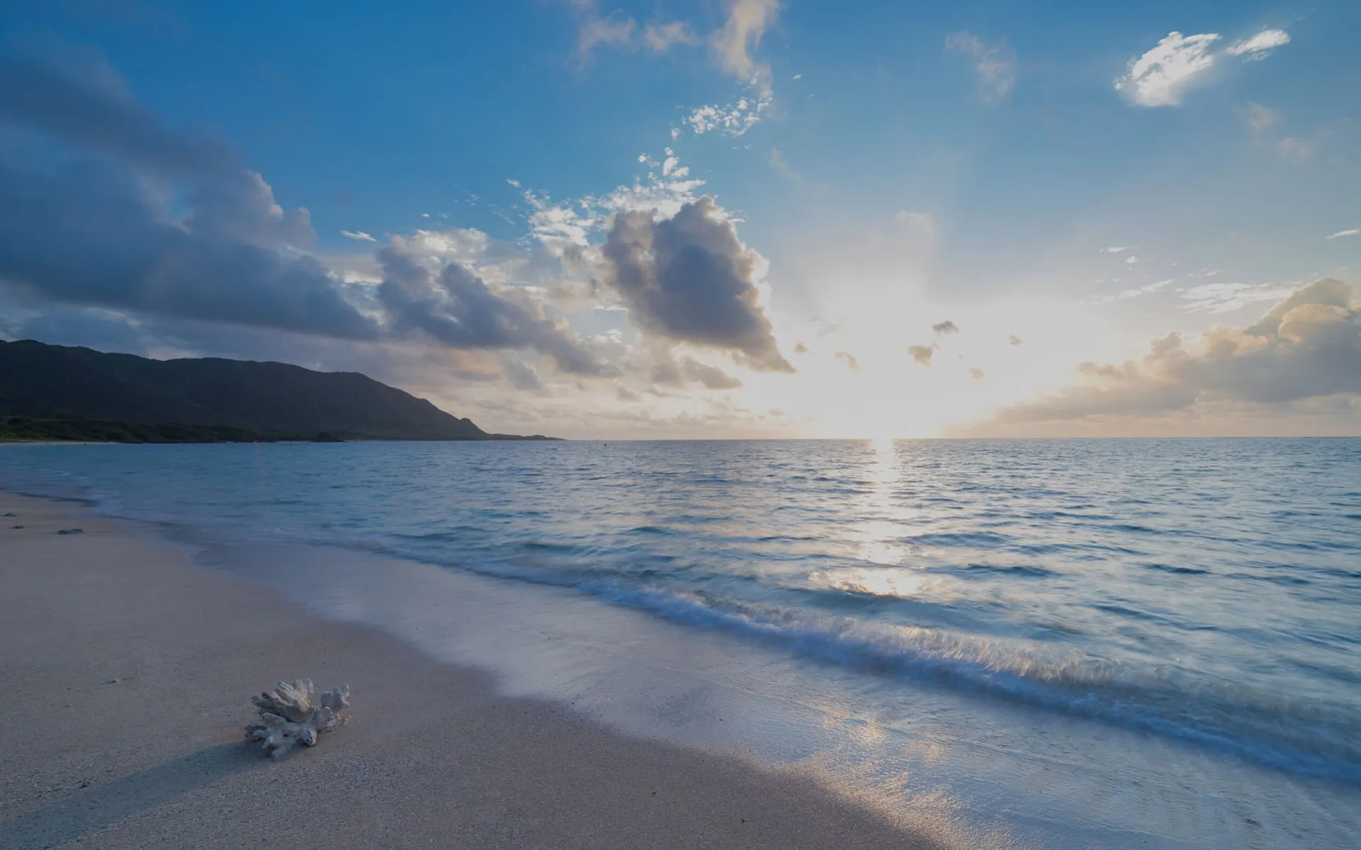 合同会社うみかじ