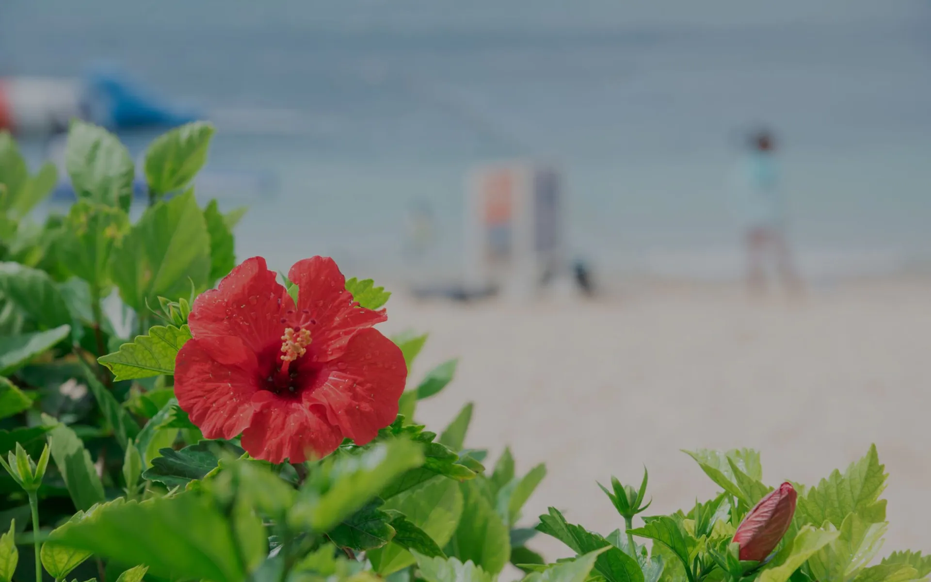 合同会社うみかじ